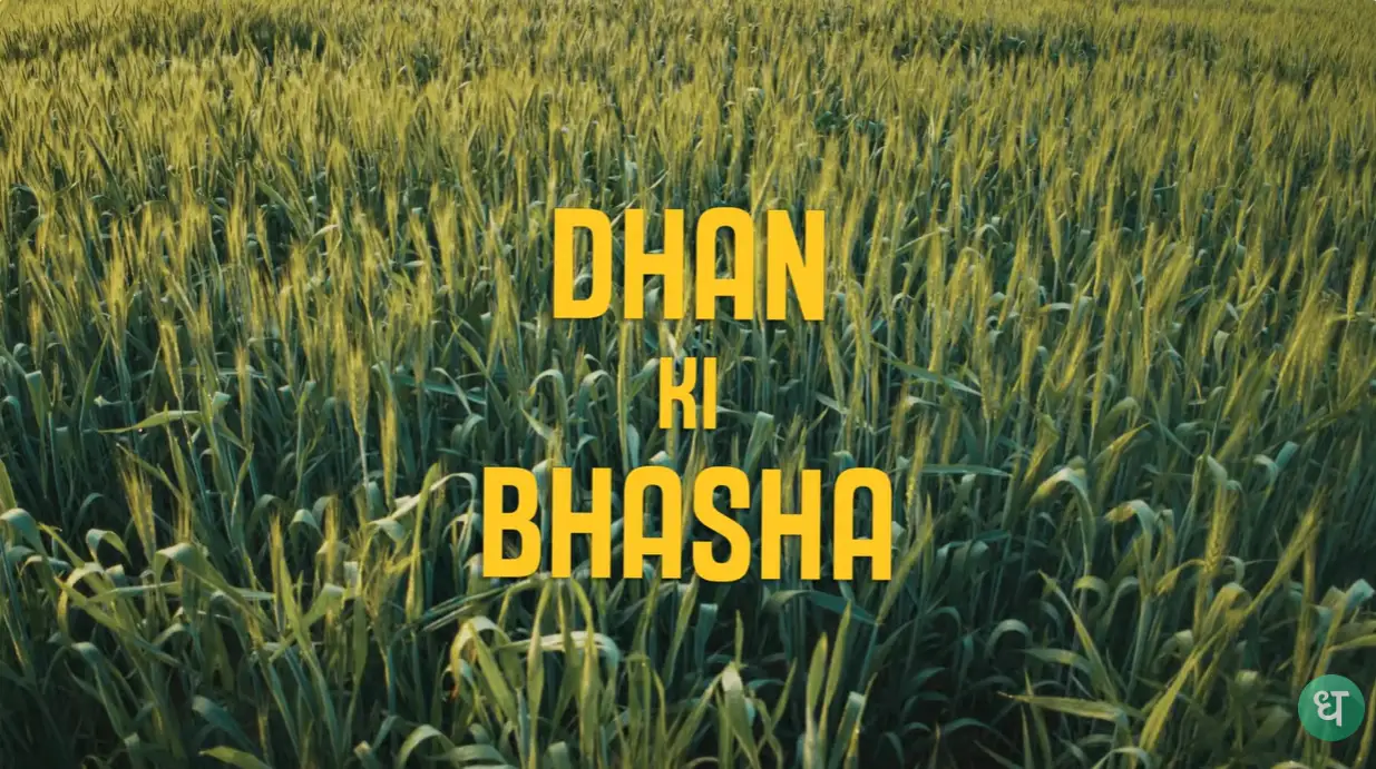 Beyond Words: Dhan Celebrates the Universal Language of Money in India